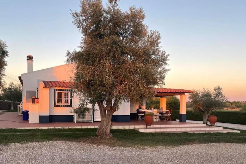 Casa Das Oliveiras Avis Exteriér fotografie