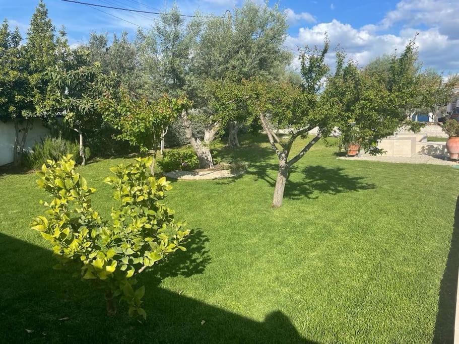 Casa Das Oliveiras Avis Exteriér fotografie