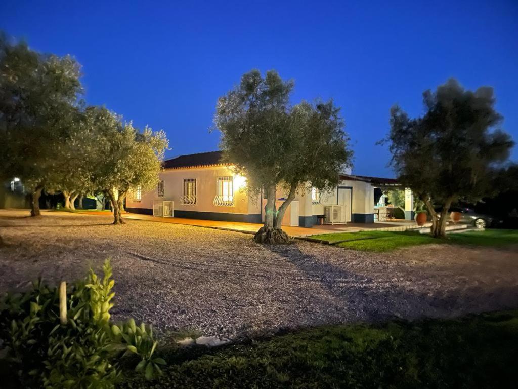 Casa Das Oliveiras Avis Exteriér fotografie
