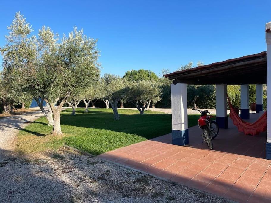 Casa Das Oliveiras Avis Exteriér fotografie