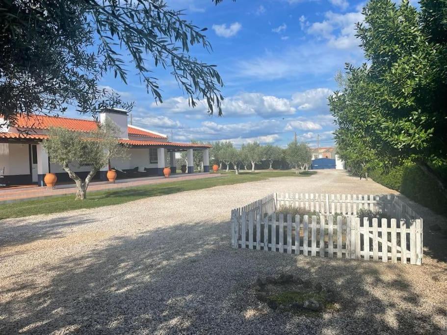Casa Das Oliveiras Avis Exteriér fotografie