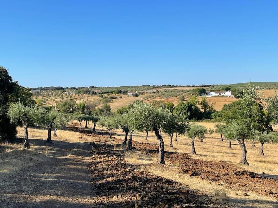 Casa Das Oliveiras Avis Exteriér fotografie