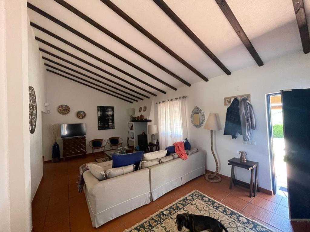 Casa Das Oliveiras Avis Exteriér fotografie
